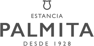 Palmita-Logo